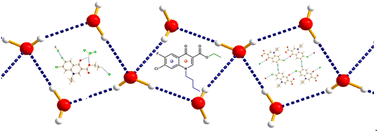 Graphical abstract: Exploring weak noncovalent interactions in a few halo-substituted quinolones