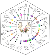 Graphical abstract: Nitrone chemistry: a versatile gateway to diverse heterocycles