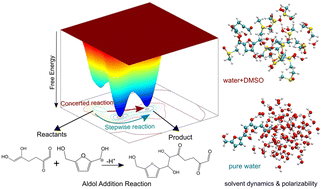 Graphical abstract: How the addition of a polar aprotic solvent alters aldol-addition kinetics: exploring the role of solvent molecules and their dynamics