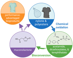 Graphical abstract: Mixed polyamide and polyester upcycling via chemical autoxidation and engineered Pseudomonas putida