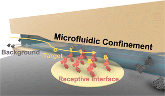 Graphical abstract: Leveraging microfluidic confinement to boost assay sensitivity and selectivity