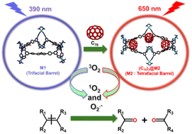 Graphical abstract: Transformation of a Pd6 trifacial barrel to a Pd8 tetrafacial barrel by C70 as guest and oxidative photolysis of alkenes using the C70 encapsulated barrel under red light