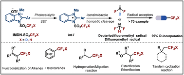 Graphical abstract: A practical photocatalytic strategy for radical (deuterio)difluoromethylation using imidazolium reagents