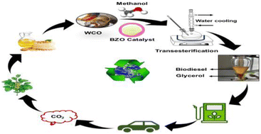 Graphical abstract: Sustainable valorization of waste cooking oil via low-temperature transesterification using BaO/ZnO nanocatalyst: process optimization and mechanistic studies