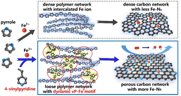 Graphical abstract: Engineering accessible Fe-N sites in polypyrrole-derived catalysts via a dynamic coordination strategy