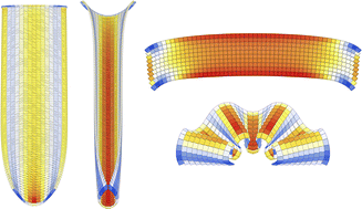 Graphical abstract: Self-limiting states of polar misfits: frustrated assembly of warped-jigsaw particles
