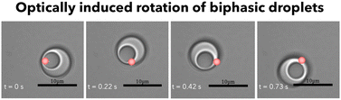 Graphical abstract: Windmill droplets: optically induced rotation of biphasic oil-in-water droplets