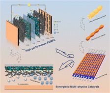Graphical abstract: Synergistic multi-physics catalysis enabled by lotus-root-inspired flow fields in proton exchange membrane fuel cells
