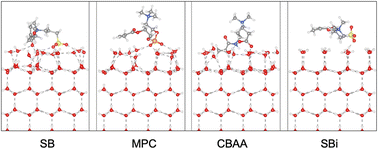 Graphical abstract: Ab initio investigations of zwitterionic polymers and their interactions with water and ice