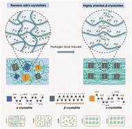 Graphical abstract: Hydrogen bond-mediated polar structure engineering of PVDF toward superior energy storage