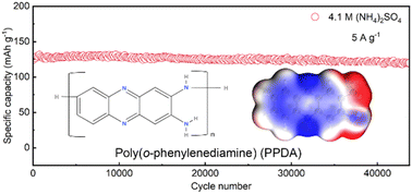 Graphical abstract: Decoding aromatic diamine polymer for highly stable aqueous ammonium-ion storage with multiple redox-active sites