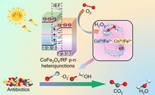 Graphical abstract: CoFe2O4/resorcinol–formaldehyde resin p–n heterojunctions with a built-in electric field for photo-self-Fenton degradation of tetracycline hydrochloride