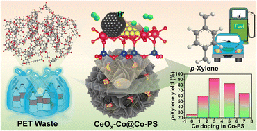 Graphical abstract: Intermetallic synergy between CeOx–Co accelerates the selective production of p-xylene from PET plastic waste over core–shell type cobalt phyllosilicate catalysts