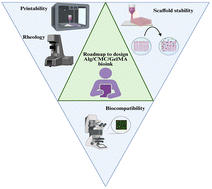 Graphical abstract: A comprehensive protocol for hydrogel-based bioink design: balancing printability, stability, and biocompatibility