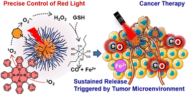 Graphical abstract: Red-light-triggered microenvironment-responsive sustained carbon monoxide release for enhanced tumor therapy