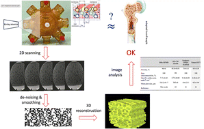 Graphical abstract: Biomimetic characterization by micro-computed tomography (μCT) of 3D hollow fibre membrane network bioreactors for tissue engineering