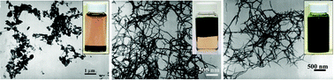 Graphical abstract: The intrinsic nanofibrillar morphology of polyaniline