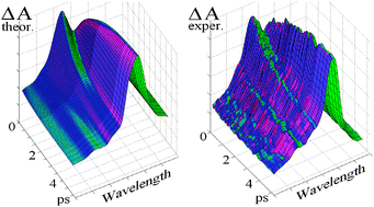 Graphical abstract: Physical origins and models of energy transfer in photosynthetic light-harvesting