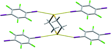 Graphical abstract: Experimental and database studies of three-centered halogen bonds with bifurcated acceptors present in molecular crystals, cocrystals and salts