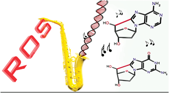 Graphical abstract: Purine 5′,8-cyclonucleoside lesions: chemistry and biology