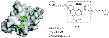 Graphical abstract: Disubstituted 2-phenyl-benzopyranopyrimidine derivatives as a new type of highly selective ligands for telomeric G-quadruplex DNA