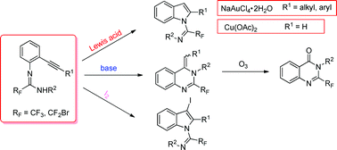 Graphical abstract: A detailed study of the intramolecular hydroamination of N-(ortho-alkynyl)aryl-N′-substituted trifluoroacetamidines and bromodifluoroacetamidines