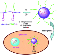 Graphical abstract: Disulfide crosslinked PEGylated starch micelles as efficient intracellular drug delivery platforms