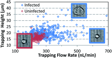 Graphical abstract: Label free detection of pseudorabies virus infection in Vero cells using laser force analysis