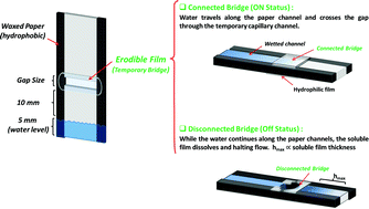 Graphical abstract: Paper-based microfluidics with an erodible polymeric bridge giving controlled release and timed flow shutoff