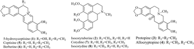 Graphical abstract: Total content determination for the effective fraction of the alkaloids in Dicranostigma leptopodum (Maxim.) Fedde by HPLC and ultraviolet-visible spectrophotometry