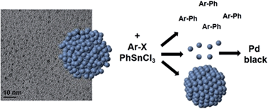 Graphical abstract: Atomic-scale identification of Pd leaching in nanoparticle catalyzed C–C coupling: effects of particle surface disorder