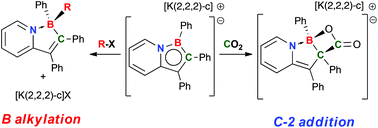 Graphical abstract: Divergent reactivity of nucleophilic 1-bora-7a-azaindenide anions