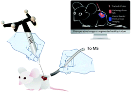 Graphical abstract: Platforms for rapid cancer characterization by ambient mass spectrometry: advancements, challenges and opportunities for improvement towards intrasurgical use