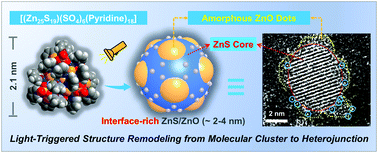 Graphical abstract: Light-triggered evolution of molecular clusters toward sub-nanoscale heterojunctions with high interface density