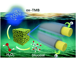 Graphical abstract: A dopamine-induced Au hydrogel nanozyme for enhanced biomimetic catalysis