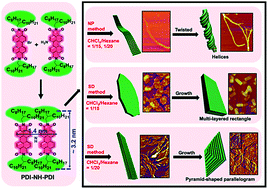 Graphical abstract: Tunable low-dimensional self-assembly of H-shaped bichromophoric perylenediimide Gemini in solution