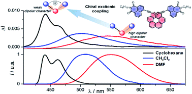 Graphical abstract: Modulation of circularly polarized luminescence through excited-state symmetry breaking and interbranched exciton coupling in helical push–pull organic systems