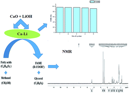 Graphical abstract: Effect of lithium ions on the catalytic efficiency of calcium oxide as a nanocatalyst for the transesterification of lard oil
