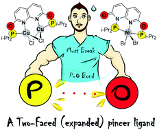 Graphical abstract: Unexpected reactivity of a PONNOP ‘expanded pincer’ ligand