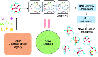 Graphical abstract: Active learning and neural network potentials accelerate molecular screening of ether-based solvate ionic liquids