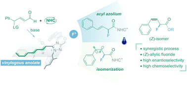 Graphical abstract: Photo-induced energy transfer relay of N-heterocyclic carbene catalysis: an asymmetric α-fluorination/isomerization cascade