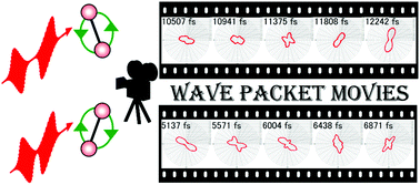 Graphical abstract: Direct imaging of direction-controlled molecular rotational wave packets created by a polarization-skewed double-pulse