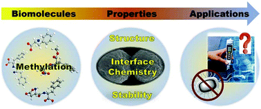 Graphical abstract: A methylation-inspired mesoporous coordination polymer for identification and removal of organic pollutants in aqueous solutions