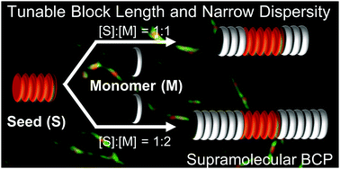 Graphical abstract: Kinetically controlled synthesis of supramolecular block copolymers with narrow dispersity and tunable block lengths