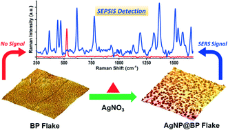Graphical abstract: Ultrasensitive and label-free detection of prognostic and diagnostic biomarkers of sepsis on a AgNP-laden black phosphorous-based SERS platform