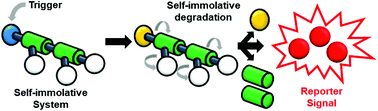 Graphical abstract: Recent advances in self-immolative linkers and their applications in polymeric reporting systems