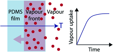 Graphical abstract: Understanding the mechanism of nitroaromatic vapour uptake in PDMS-based pre-concentrators using 4-nitrotoluene