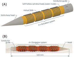 Graphical abstract: A 3D printed hydrostatic skeleton for an earthworm-inspired soft burrowing robot