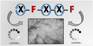 Graphical abstract: Computation meets experiment: identification of highly efficient fibrillating peptides