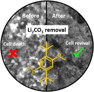 Graphical abstract: The accumulation of Li2CO3 in a Li–O2 battery with dual mediators